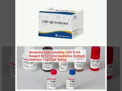 Biovantion High-Sensitivity CMV ELISA Reagent Kit để phát hiện kháng thể virut cytomegalovirus