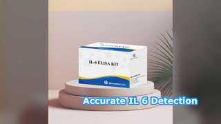 Bộ ELISA IL-6 96 Xét nghiệm Phát hiện chính xác