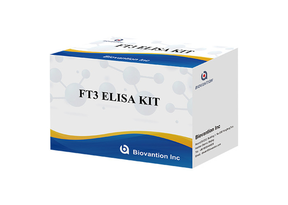 Bộ xét nghiệm FT3 Elisa 110 phút Xét nghiệm máu miễn phí Triiodothyronine T3 miễn phí