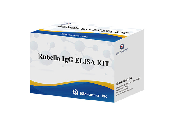 Phòng thí nghiệm hoặc Bệnh viện High Accuracy Rubella IgG ELISA TEST KIT