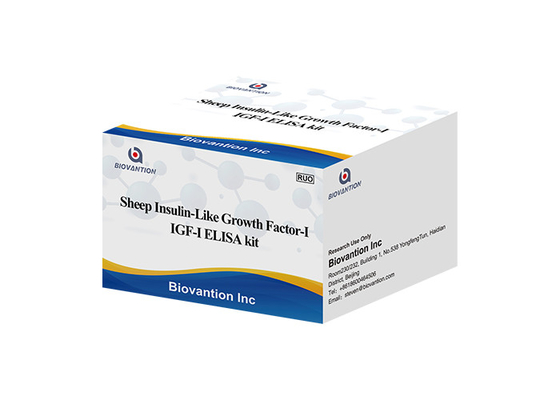 Sheep Igf1 Elisa Kit Insulin Giống như Yếu tố Tăng trưởng I Somatomedin
