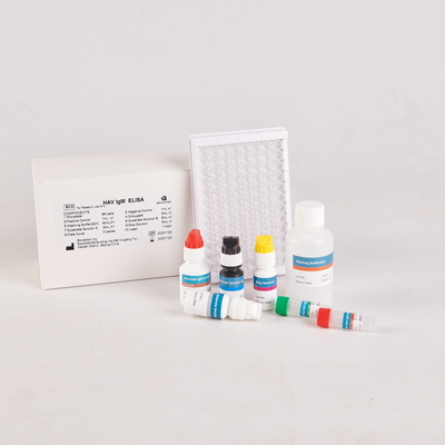 Bộ dụng cụ RUO HAV-IgM Elisa