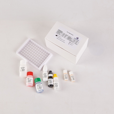 Bộ kit RUO HSV2 IgM Elisa