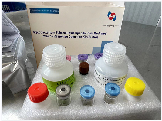 Thuốc kháng thể TBC-Interferon Gamma Release Assay Elisa kit TB-IGRA