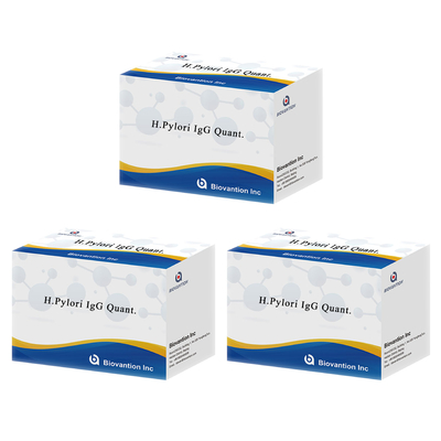 H.Pylori IgG Quant. Elisa kit Origin Elisa Test Kit Format Kit từ Biovantion