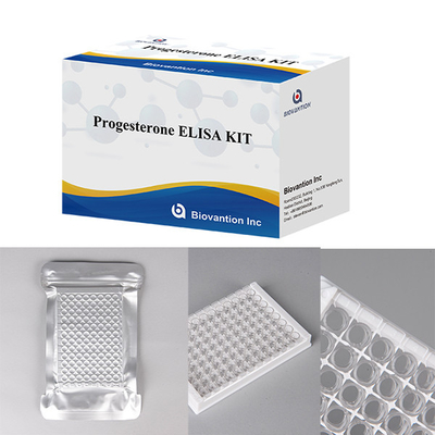 Bệnh viện Phòng thí nghiệm Phòng khám sử dụng Progesterone Kiểm tra miễn dịch định lượng ELISA KIT