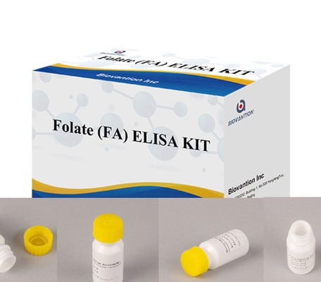 Enzyme-Linked Immune High Sensitivity Reagents Folate Elisa Thử nghiệm