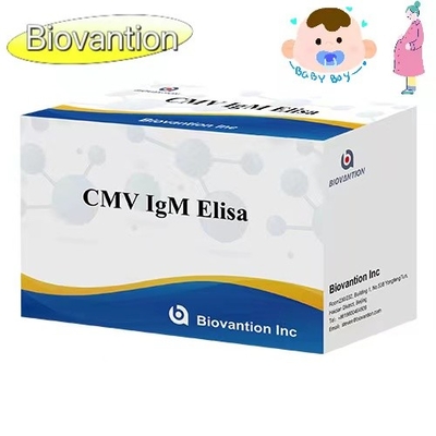 CMV IgM ELISA Kit Chẩn đoán cao cho phụ nữ mang thai