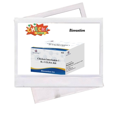 IL 1 ELISA Test Kit Interleukin-1 huyết thanh và huyết tương của con người