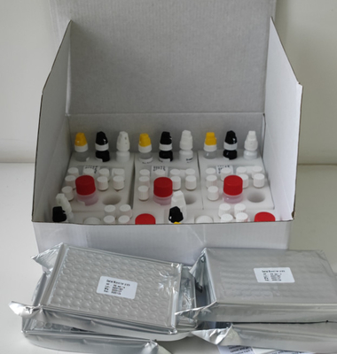 Phòng thí nghiệm hoặc bệnh viện High Accuracy H.Pylori IgG Elisa Test Kit