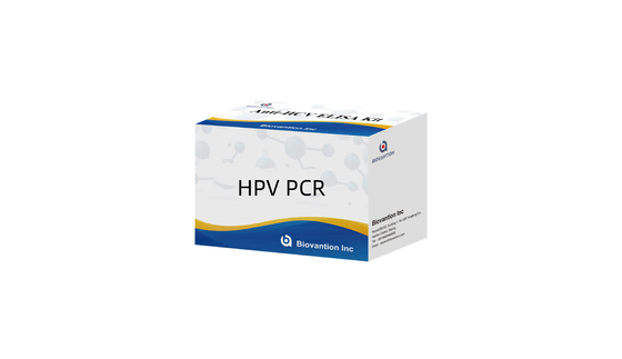 Human Papillomavirus Detection Kit HPV PCR Multiplex Hướng dẫn PCR thời gian thực
