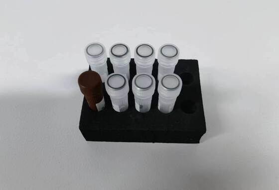 Xét nghiệm PCR bệnh sốt xuất huyết chất lượng cao với 48 xét nghiệm