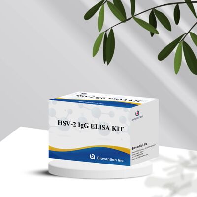 Bộ xét nghiệm Elisa phát hiện kháng thể IgG HSV-2 với độ nhạy và độ đặc hiệu cao, hạn sử dụng 18 tháng
