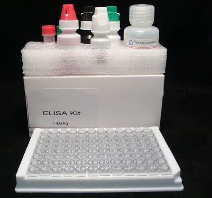 Bộ thử nghiệm ELISA HBsAg nhạy cao và đặc tính cao cho viêm gan B với thời gian phân tích 2-3 giờ