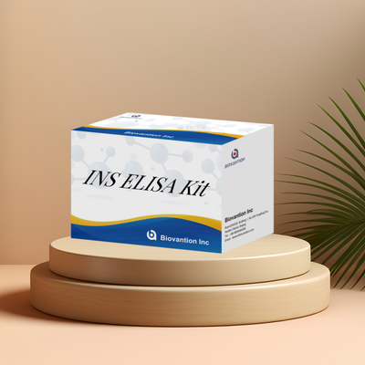 Human INS (Insulin) ELISA Kit.