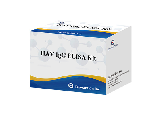 Bộ công cụ chẩn đoán kháng thể HAV IgG Elisa Kit cho vi rút viêm gan A