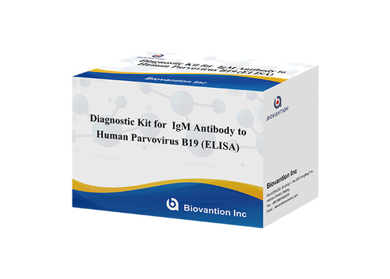 Kháng thể đối với parvovirus B19 của con người IgM ELISA Test Kit