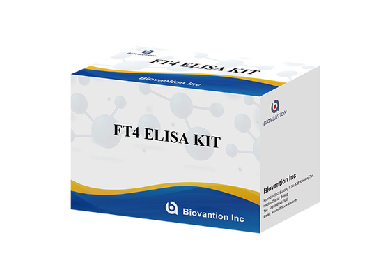 Bộ xét nghiệm FT4 Elisa Mẫu huyết thanh xét nghiệm máu Thyroxine miễn phí