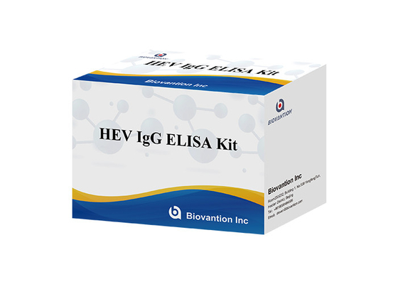 HEV Human Igg Elisa Kit Chẩn đoán kháng thể IgG với vi rút viêm gan E.