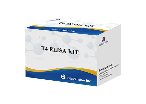 Bộ phát hiện Elisa Thyroxine T4
