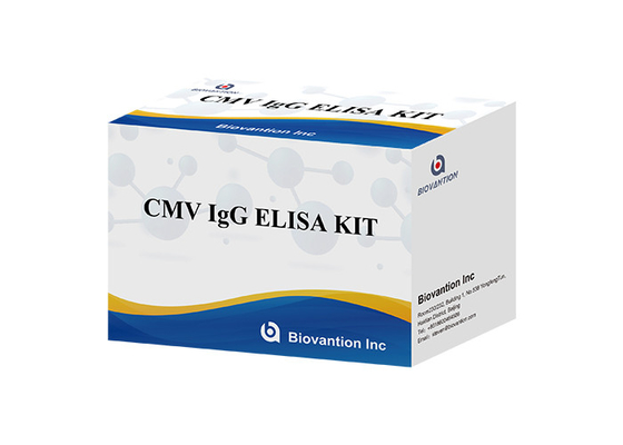 Phòng thí nghiệm hoặc Bệnh viện Chất thử nghiệm cao độ chính xác CMV IgG ELISA