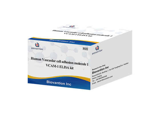 VCAM1 CD106 Bộ xét nghiệm ELISA RUO cho phân tử kết dính tế bào mạch máu người 1