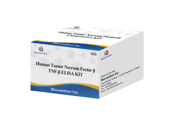 TNFB TNFSF1 Lymphotoxin Alpha LTA ELISA KIT Yếu tố hoại tử Khối u ở người Beta