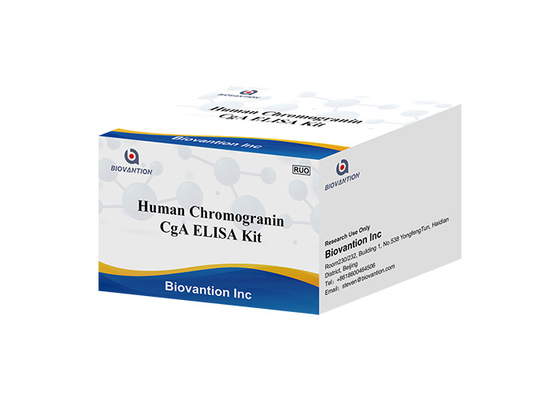 Bộ xét nghiệm CgA ELISA RUO ở người Chromogranin A Bộ dụng cụ Elisa Protein bài tiết tuyến yên I