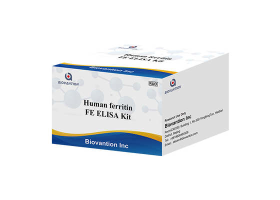 Phòng thí nghiệm hoặc bệnh viện High Precision Human ferritin FE ELISA TEST KIT