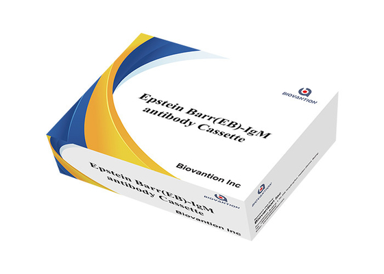 Epstein Barr EB IgG/IgM Rapid Cassette Test Detection Ngày hết hạn 24 miệng