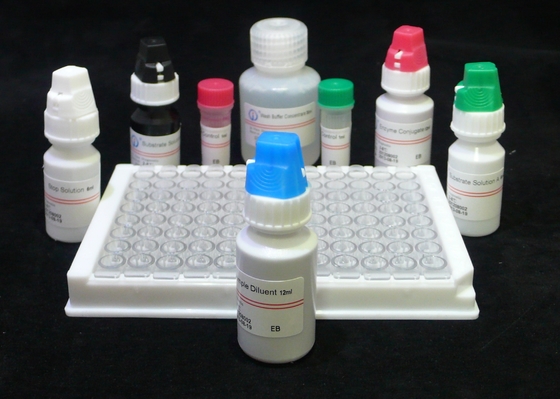 H.Pylori IgG Quant. Elisa kit Origin Elisa Test Kit Format Kit từ Biovantion