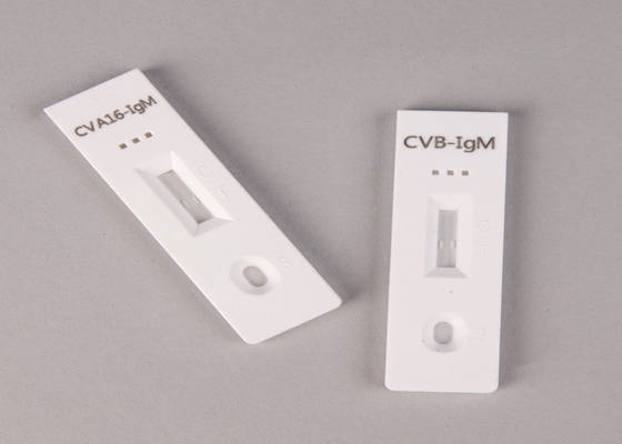 Bệnh viện, Trung tâm Y tế, Bản thân Chẩn đoán cao Salmonella kháng nguyên Thử nghiệm nhanh Cassette gói Inser Thử nghiệm nhanh