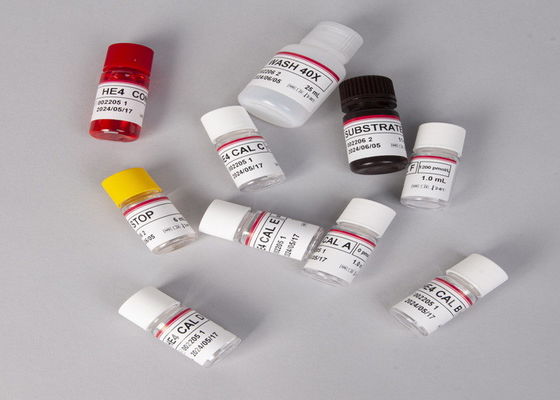 Bộ thử nghiệm Alpha Fetoprotein AFP Elisa