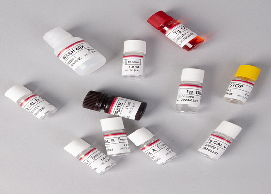 E2 Bộ thử nghiệm ELISA Phát hiện trong ống nghiệm Phát hiện y tế Độ chính xác cao