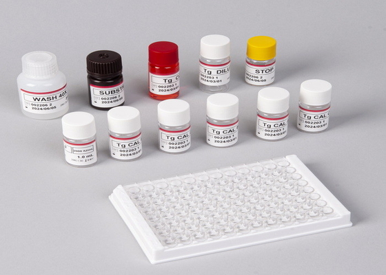 E2 Bộ thử nghiệm ELISA Phát hiện trong ống nghiệm Phát hiện y tế Độ chính xác cao