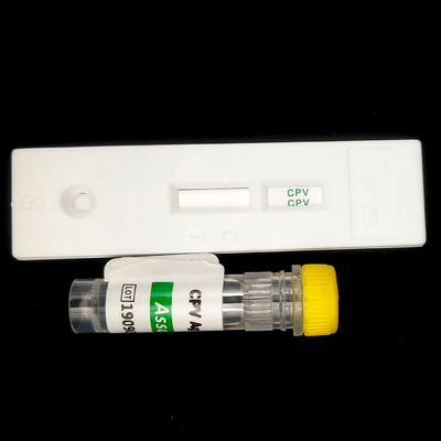 Serum Thyroid-Stimulating 96Hormone Tsh Elisa Reagent Kits cho 96 người