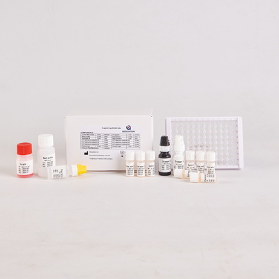 Phòng thí nghiệm hoặc Bệnh viện High Precision Human Helicobacter pylori HP ELISA Kit