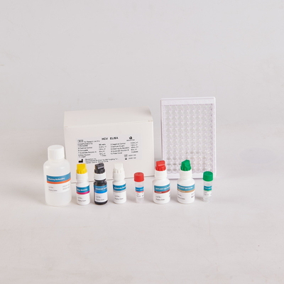 Human PTH Elisa Kit/Human Parathyroid Hormone Elisa Kit cho RUO với 96 xét nghiệm