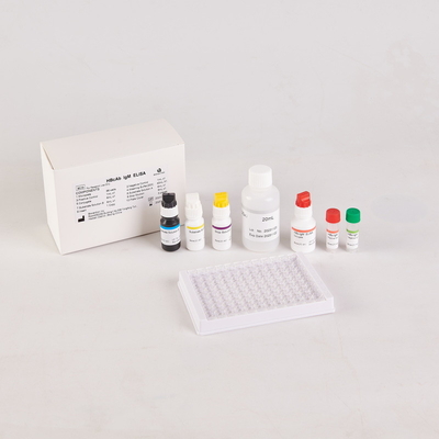 Bộ dụng cụ RUO HBcAb Elisa