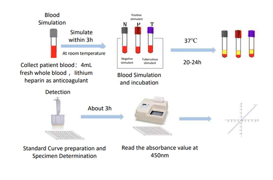 Máy thử nghiệm TBC-Interferon Gamma Release Elisa được sản xuất bởi Biovantion