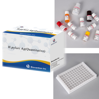 Helicobacter Pylori Antigen H.pylori Ag ((Quantitative) xét nghiệm ELISA