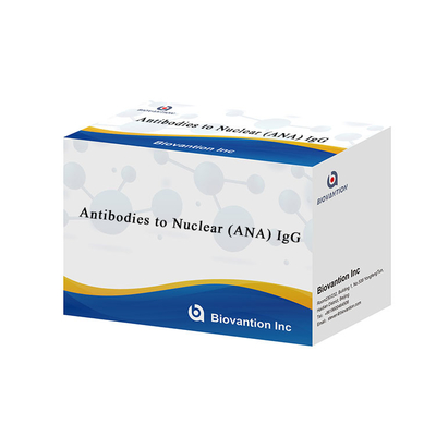 Kháng thể hạt nhân (ANA) IgG ELISA thử nghiệm loại Elisa Kit