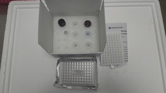 Phương pháp VEGF ELISA chuột phát hiện bệnh truyền nhiễm với độ nhạy và chính xác 95%