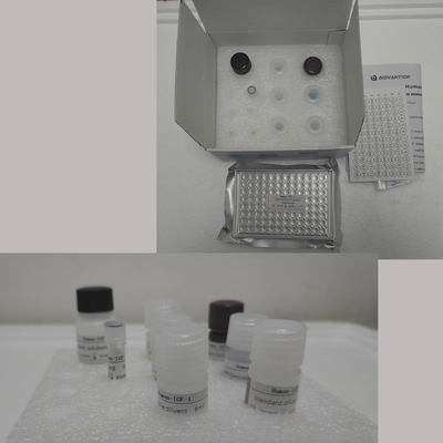 Human Renin Elisa Kit với 96 xét nghiệm