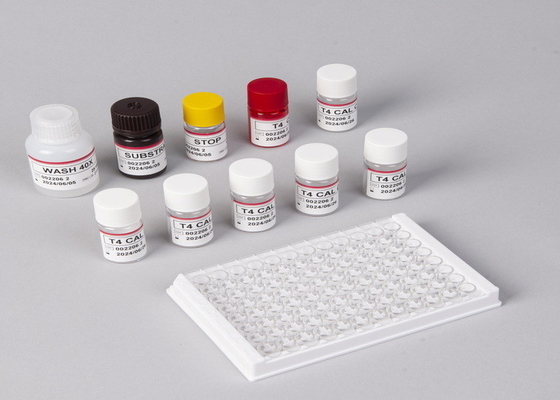 Thyroxine T4 Elisa Detection Kit Chẩn đoán chính xác cao Sử dụng trong bệnh viện và phòng thí nghiệm