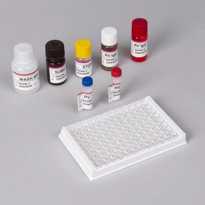 Bộ thử nghiệm RV-G Elisa để chẩn đoán loại mẫu plasma