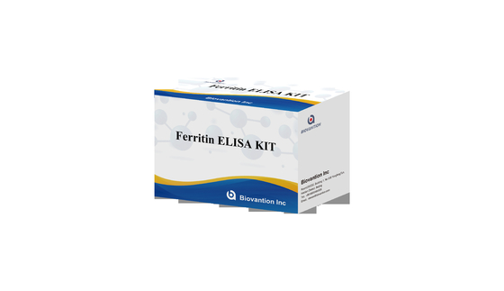 Ferritin ELisa test kit Rapid Serum Sensitivity Elisa Test Biovantion 2-3 giờ Thời gian phân tích 2-8.C Lưu trữ