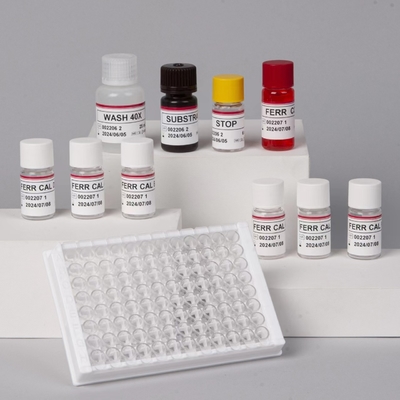 Ferritin ELisa test kit Rapid Serum Sensitivity Elisa Test Biovantion 2-3 giờ Thời gian phân tích 2-8.C Lưu trữ