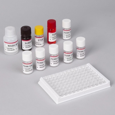 Ferritin ELisa test kit Rapid Serum Sensitivity Elisa Test Biovantion 2-3 giờ Thời gian phân tích 2-8.C Lưu trữ