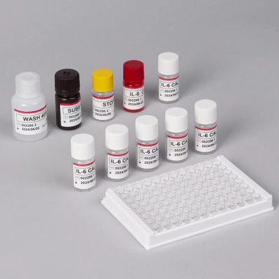 IL-6 Interleukin 6 Elisa Test Kit với 2-3 giờ thời gian xét nghiệm Biovantion Serum / Plasma Format 18 tháng Thời hạn sử dụng